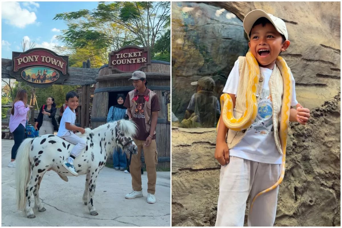 Pony Park, taman wisata edukasi berkonsep mini zoo di Kelurahan Mojayan, Kecamatan Klaten Tengah, Kabupaten Klaten, Jawa Tengah. (Dok Humas Pony Park Klaten)