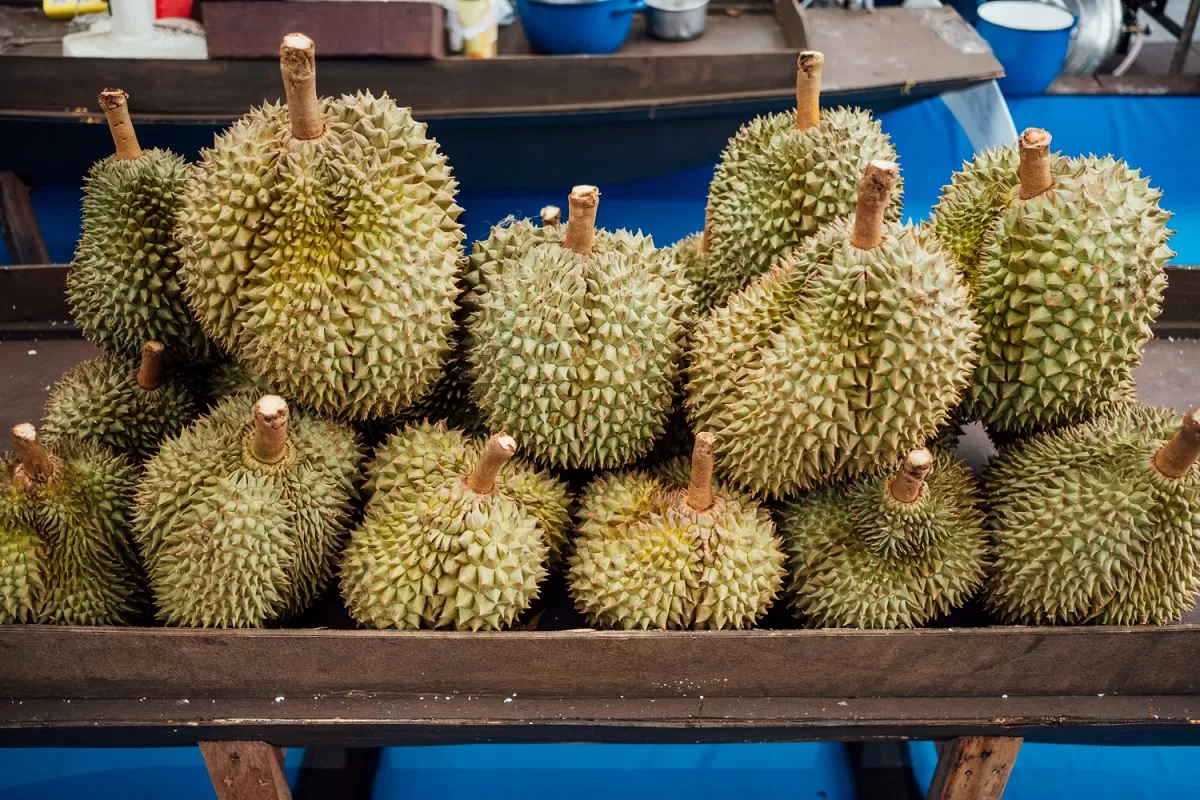 Ilustrasi - Rekomendasi tempat berburu durian di Ciamis, Jawa Barat (Magnific/jcomp)