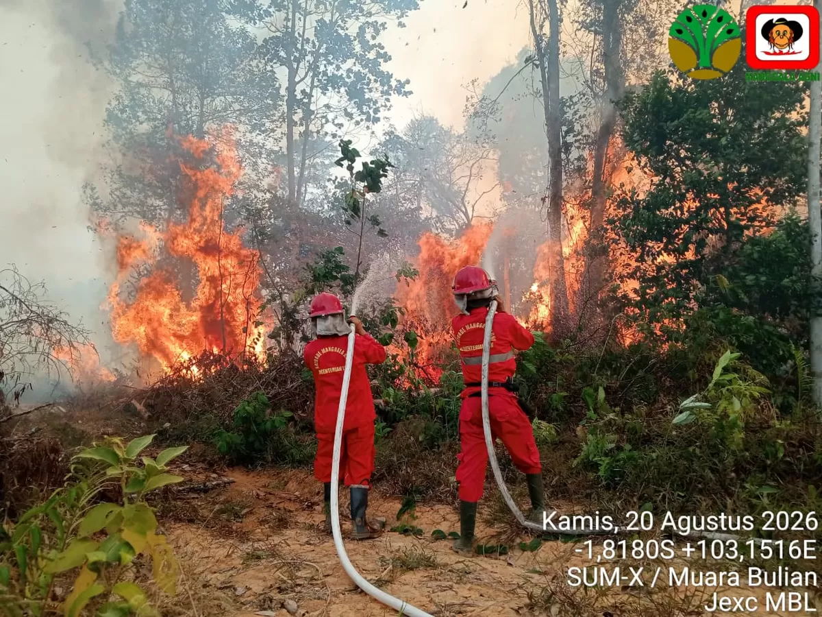 Pemerintah prioritaskan penanganan karhutla di enam provinsi (Bakom RI)