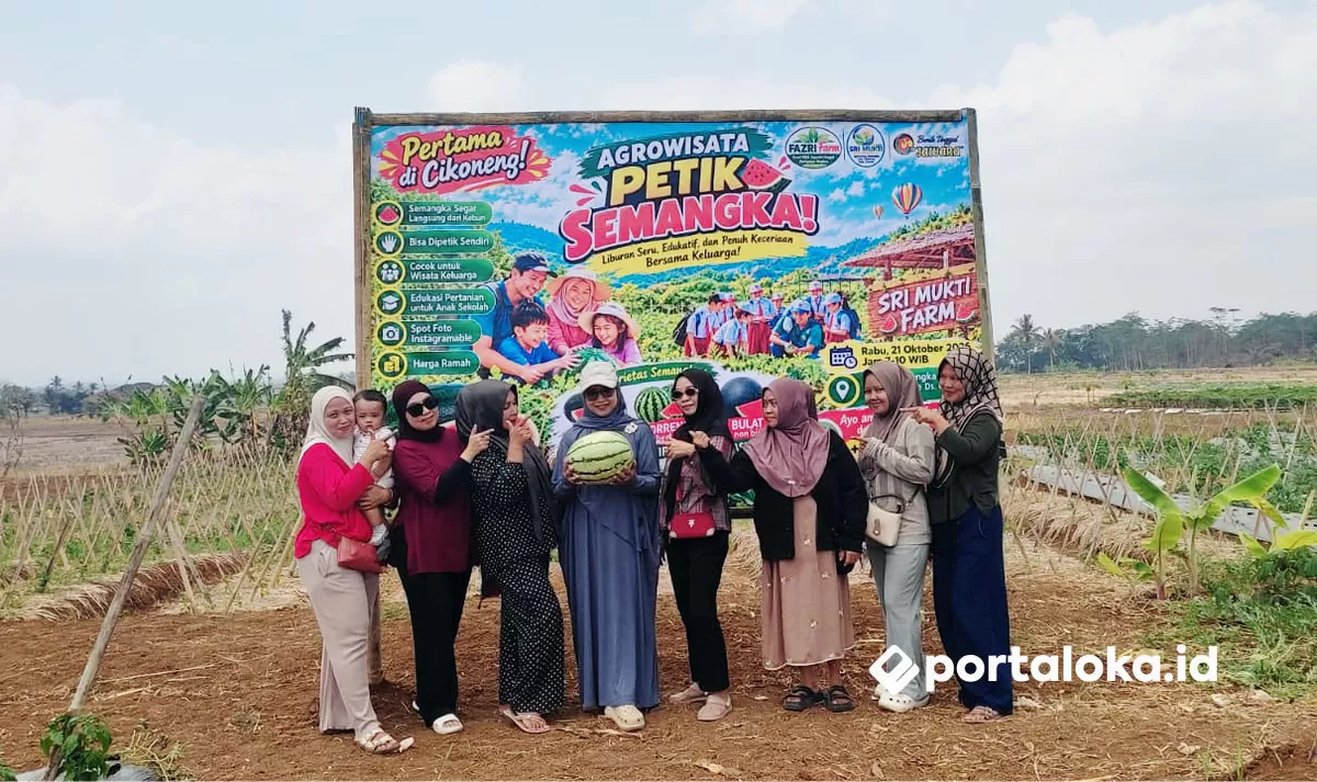 Agrowisata Petik Semangka Desa Gegempalan, Cikoneng, Ciamis (Portaloka.id/Arman)