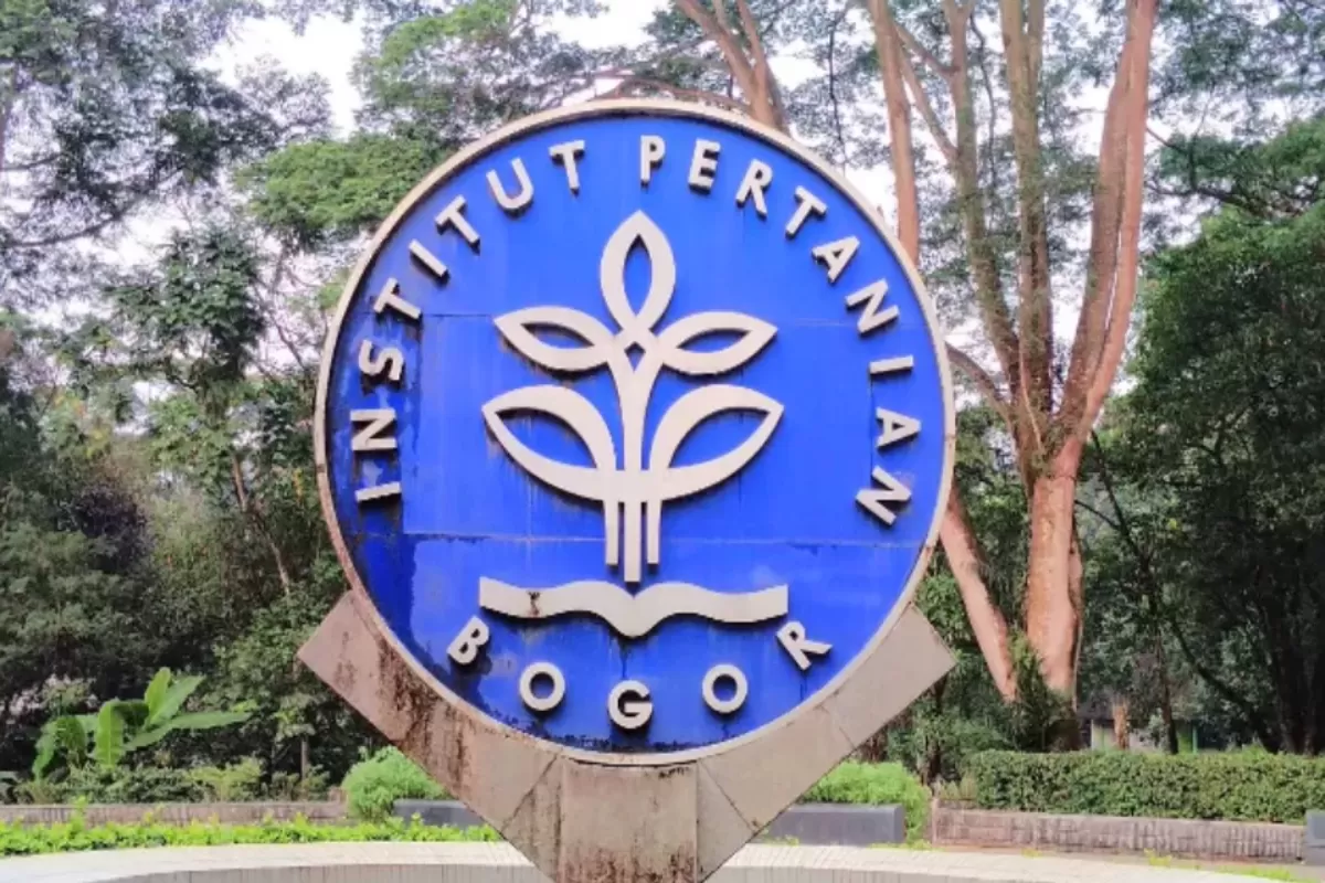 Kasus dugaan pelecehan di IPB viral di media sosial. Grup mahasiswa disebut berisi percakapan tak senonoh hingga berbagi foto vulgar