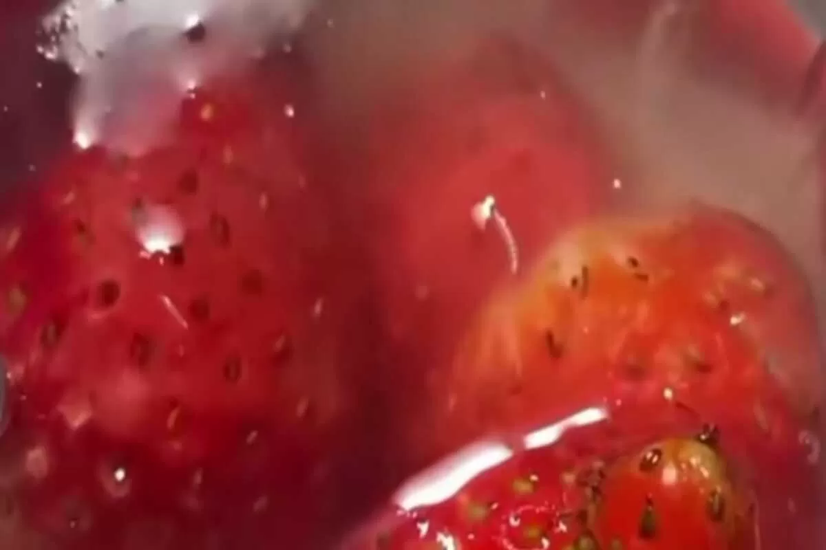 Puding itu terlihat manis. Warnanya merah stroberi. Menggoda selera anak-anak SD di Kecamatan Lowokwaru, Kota Malang. Tapi, di balik kemasan plastik itu, ada sesuatu yang bergerak-gerak. Kecil. Putih.