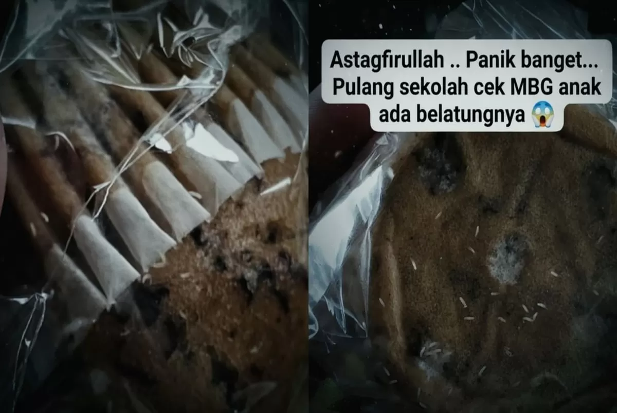 Viral video roti program Makanan Bergizi Gratis (MBG) di Pecangaan, Jepara penuh belatung hidup. Orang tua siswa PAUD protes, pihak sekolah komplain.