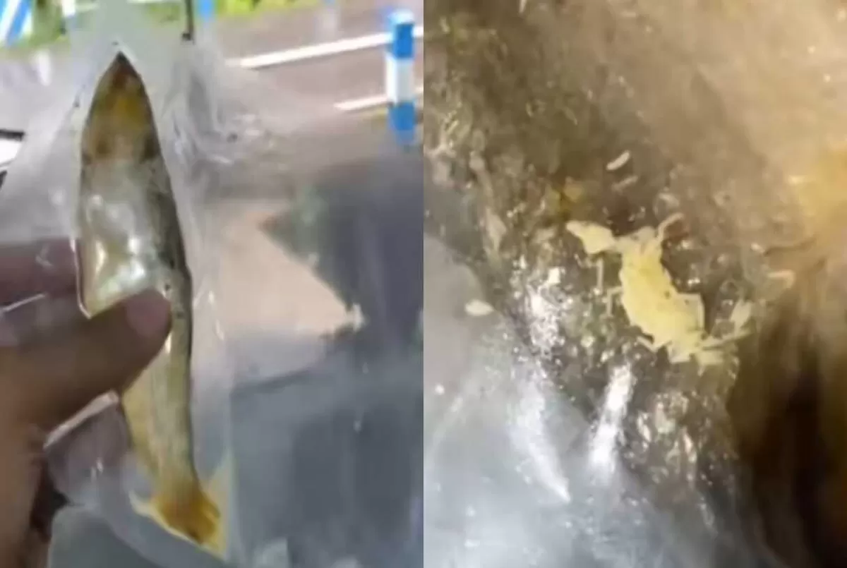 SPPG Cahaya Ngrayun Ponorogo minta maaf soal temuan belatung di menu Makan Bergizi Gratis. Akui keteledoran dapur dan janji ganti menu tanpa dana BGN.