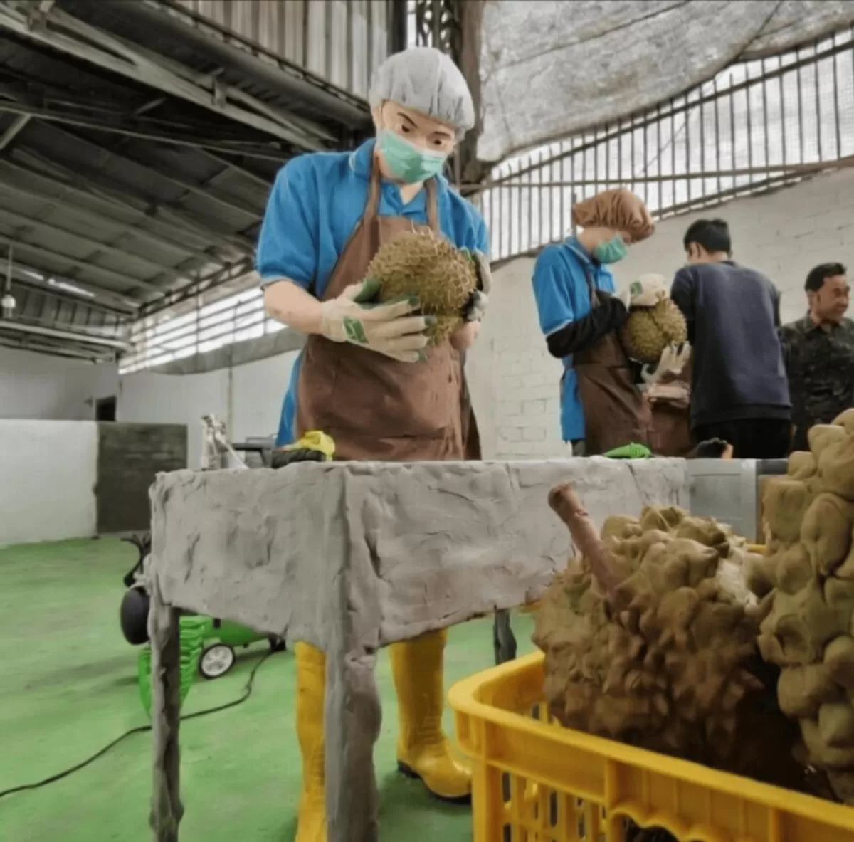 DPRD Parigi Moutong bentuk Panja usut pengelolaan Packing House durian. Demi transparansi dan nasib petani, jangan sampai durian manis di laporan saja