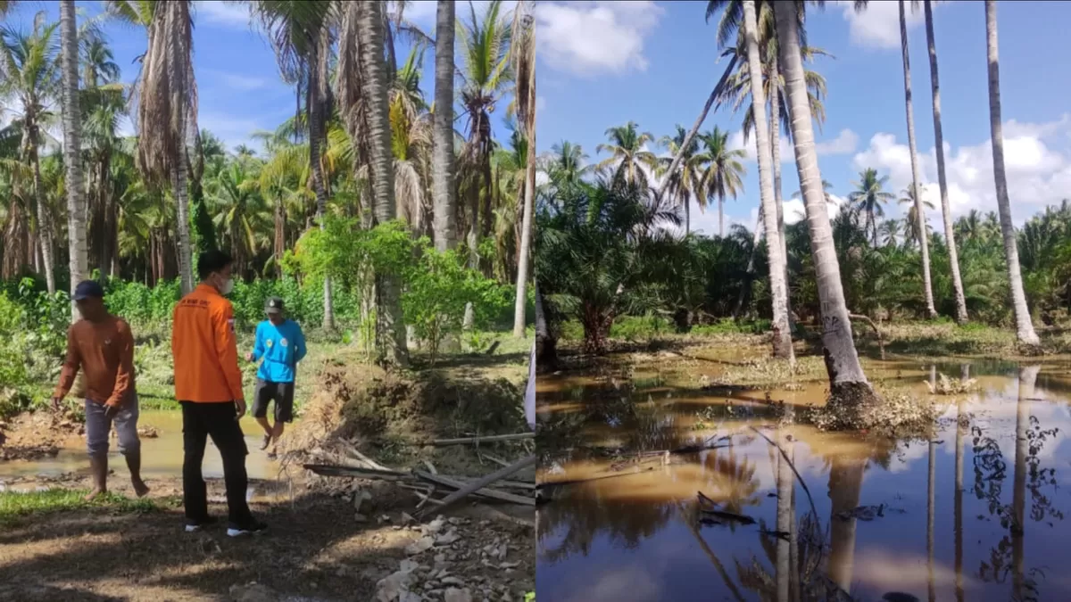Banjir melanda 7 desa di Kec. Moutong dan Taopa, Parigi Moutong, Jumat 3 April 2026. Ratusan KK terdampak, tanggul jebol, kebun rusak total.