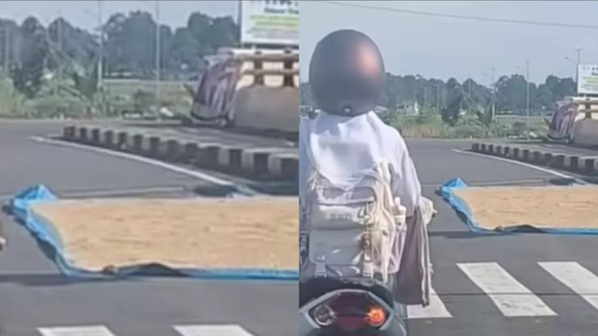 ​Fenomena unik di Bypass Mamminasata Maros: petani jemur gabah di badan jalan. Viral di sosmed, picu debat panas antara kebutuhan hidup vs aturan jalan.