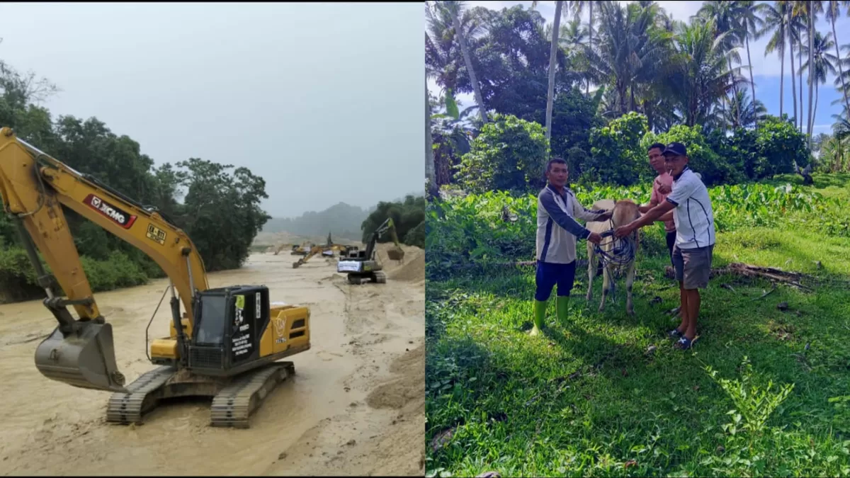 Koperasi IPR Kayuboko Parigi Moutong serahkan sapi kurban dan normalisasi sungai di tiga desa menjelang perayaan Idul Adha.