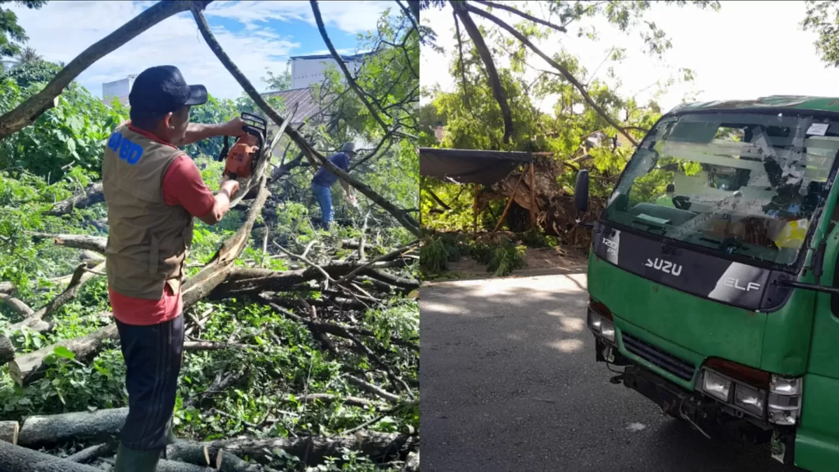 Angin kencang merobohkan pohon besar di Pasar Baru Parigi. Akses jalan sempat lumpuh dan kabel listrik terputus jatuh ke jalanan.