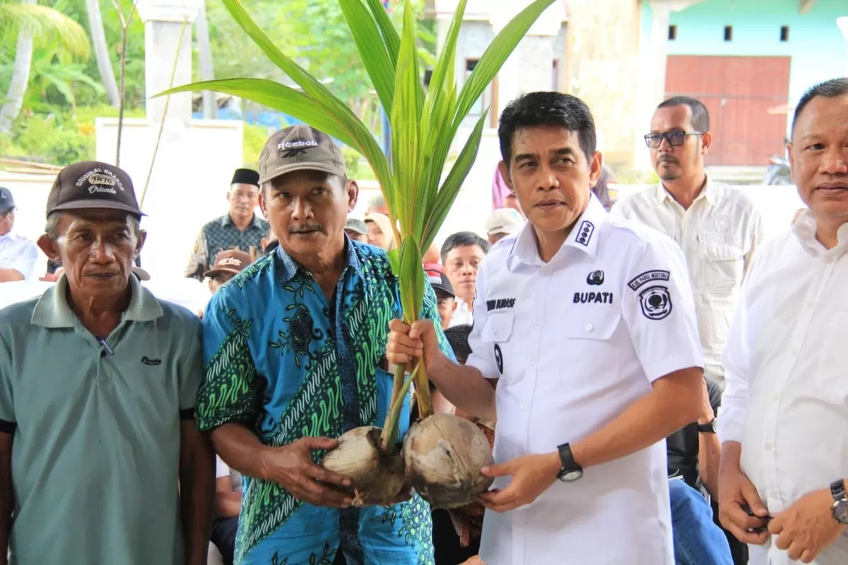 Pemda Parigi Moutong usulkan kawasan transmigrasi jadi PSN. Langkah awal dimulai lewat bantuan bibit kelapa dalam seluas 300 hektare.