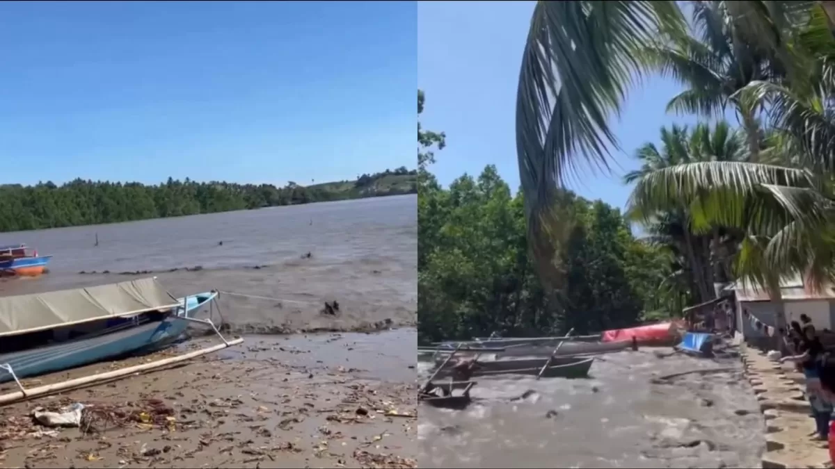 Tsunami minor setinggi 0,19 meter terdeteksi di Loloda, Sitaro, dan Talaud setelah gempa bermagnitudo 7,7 mengguncang Kepulauan Sangihe.