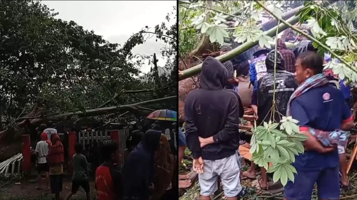 Insiden pohon tumbang terjadi di Taman Tadulako Tinombo Parigi Moutong Jumat pagi. Satu anak dikabarkan meninggal dunia di lokasi.