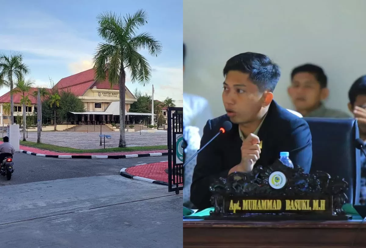 Mengulas aturan resmi pengangkatan, tugas, dan wewenang tenaga ahli pemda agar tidak tumpang tindih seperti di Parigi Moutong.