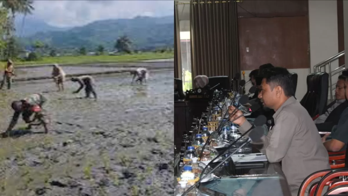 Tambang emas ilegal di Tinombo Selatan Parigi Moutong cemari irigasi sawah warga. Petani terancam gagal panen & krisis air bersih.