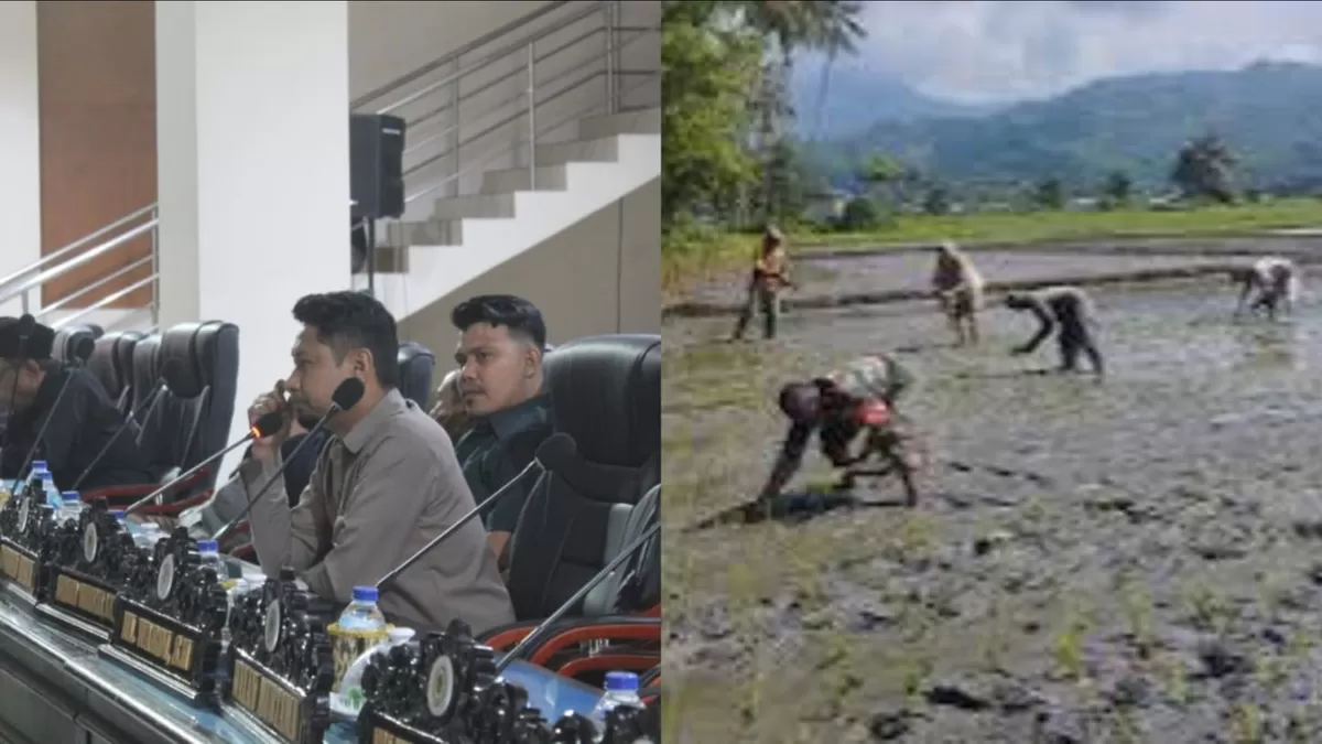Tumpang tindih lahan sawah dan tambang emas ilegal di Parigi Moutong memanas. Intip sanksi pidana menurut UU LP2B dan UU Minerba.