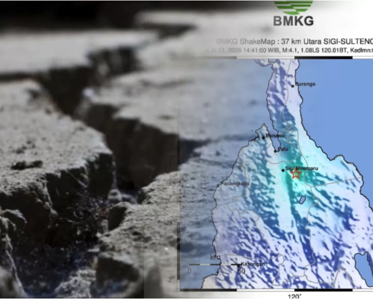 Gempa Sigi hari ini magnitudo 4,1 kembali guncang Sulawesi Tengah. BMKG catat 1.163 gempa susulan akibat aktivitas Sesar Palolo.