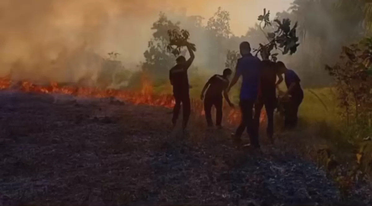 Petugas Damkar Wakatobi terpaksa memadamkan kebakaran lahan di Desa Komala secara manual memakai ranting pohon karena terkendala akses.