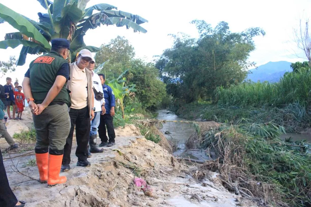 Banjir Parigi Moutong merendam 3.110 hektar kebun, 310 hektar sawah, dan memutus jembatan. BPBD dan Pemkab gerak cepat tangani pengungsi.