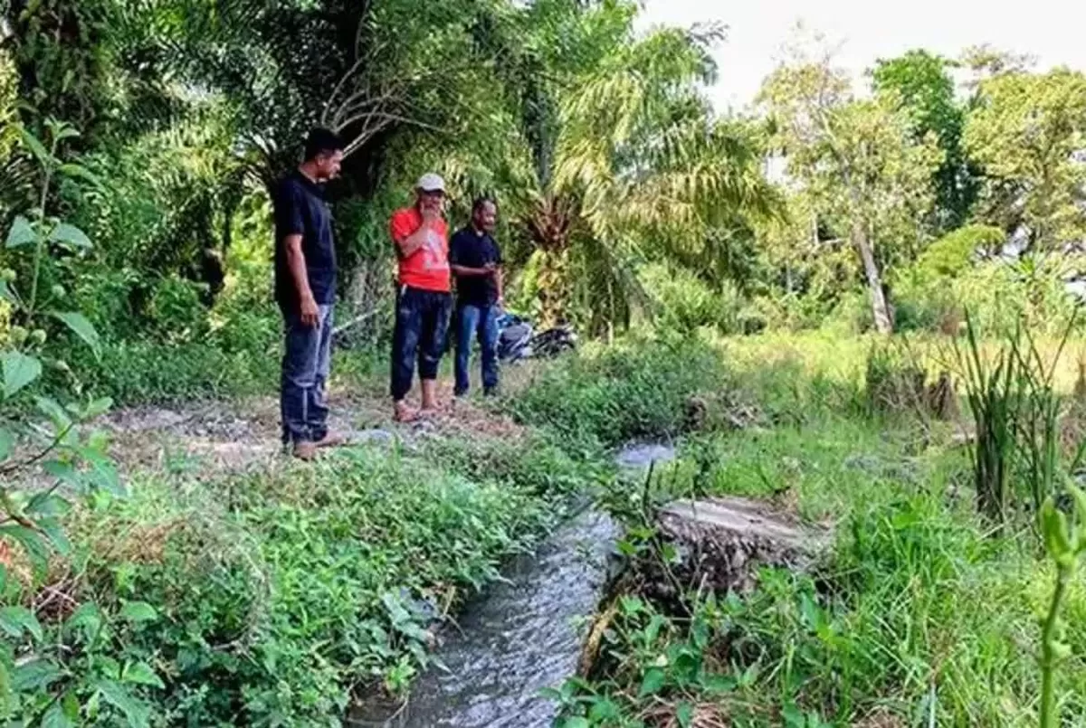 Peralihan kewenangan irigasi di Babahrot Abdya memicu lempar tanggung jawab birokrasi. 500 hektare sawah terancam alih fungsi.