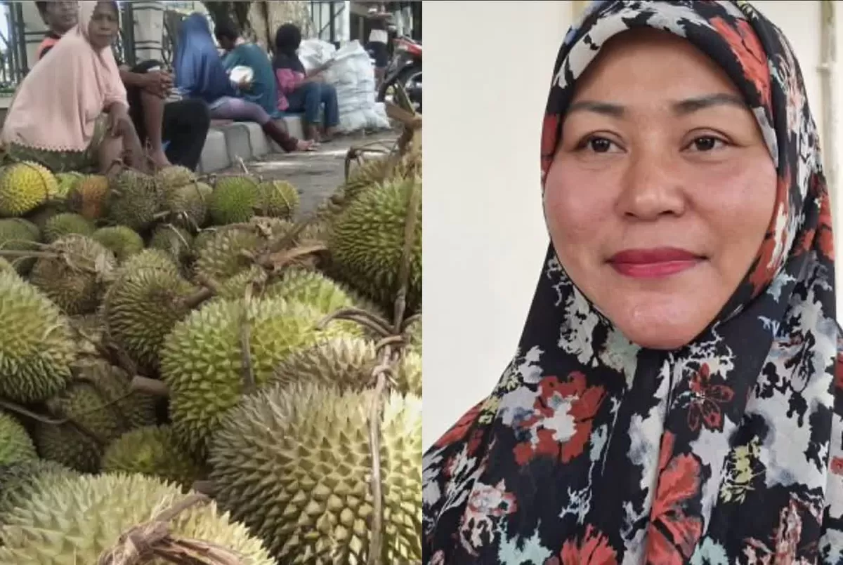 Sertifikasi Indikasi Geografis Durian Parigi Moutong memasuki tahap akhir di Kemenkum. Langkah ini siap membuka peluang ekspor petani lokal.
