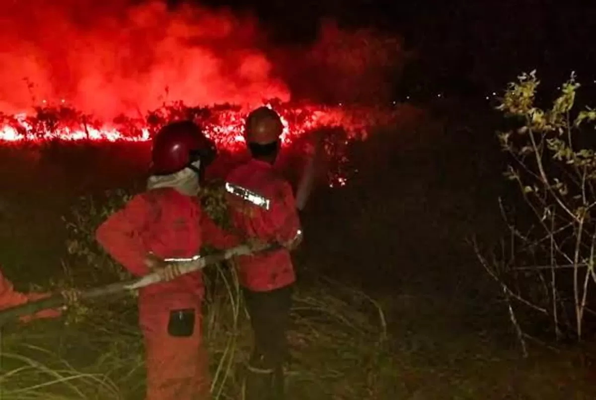 Polda Sultra memetakan tujuh titik rawan kebakaran hutan di empat kabupaten pada Selasa, 11 Agustus 2026 akibat El Nino fase kuat.