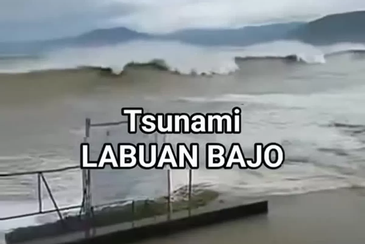 BMKG mengonfirmasi tsunami terdeteksi di Labuan Bajo dan Sulsel pascagempa magnitudo 7,7 Nagekeo pada Sabtu, 15 Agustus.