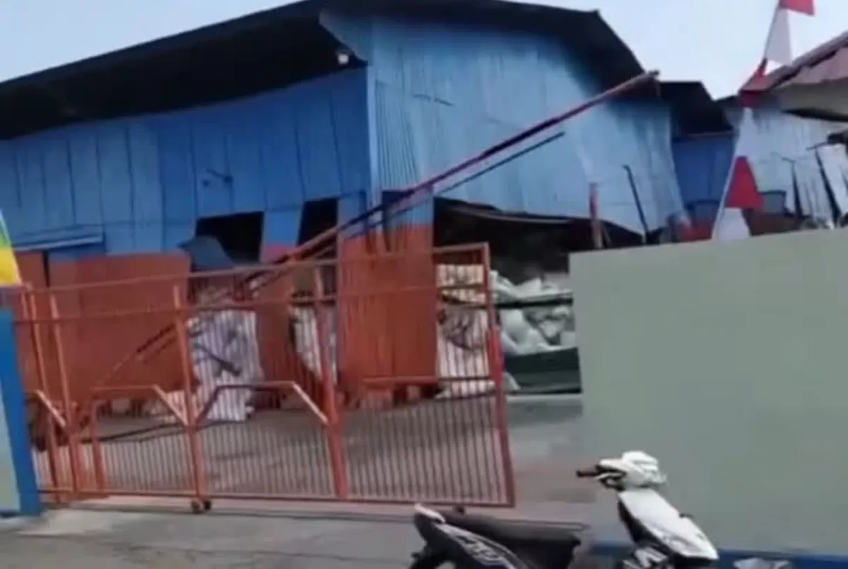 Warga NTT menjaga gudang Bulog yang hancur akibat gempa M7,7 tanpa aksi penjarahan logistik pada Sabtu, 15 Agustus 2026.