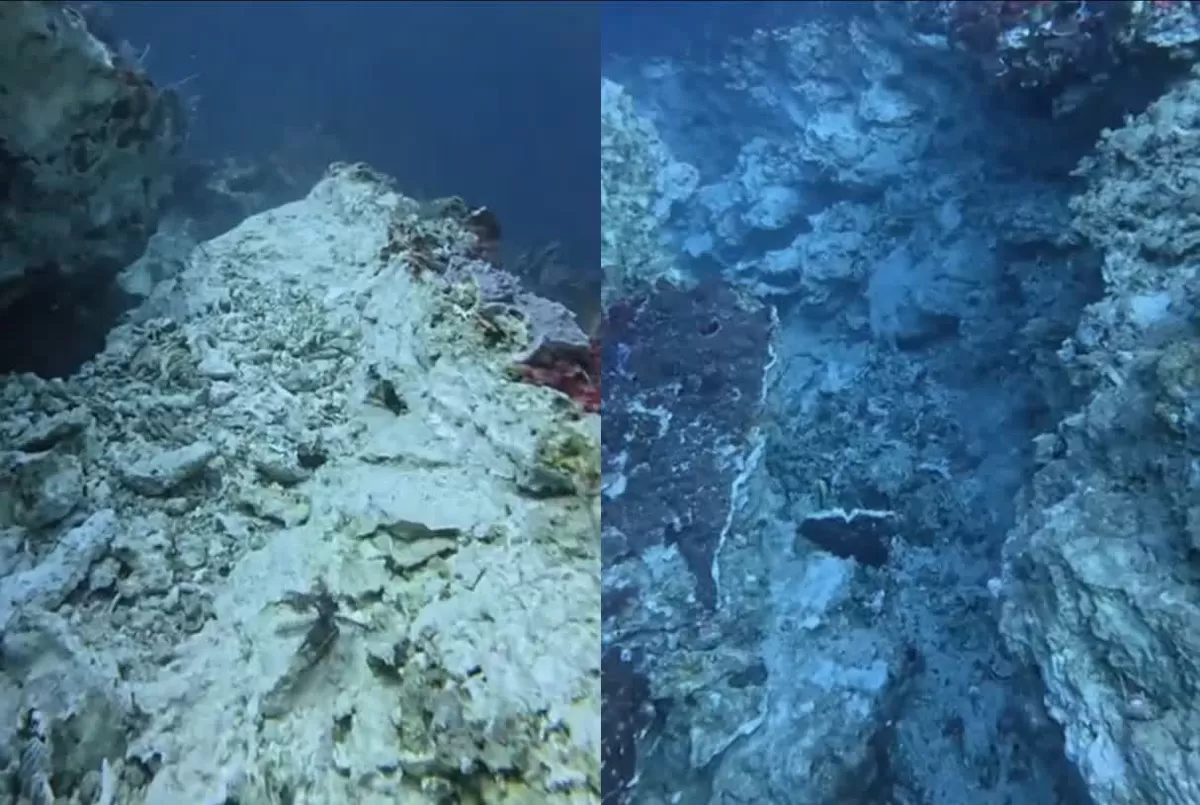 Gempa M7,7 memicu retakan karang bawah laut Komodo saat BMKG mencatat ribuan guncangan susulan pada 21 Agustus 2026.