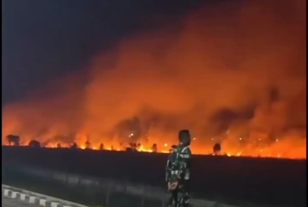Tim gabungan memadamkan kebakaran lahan 20 hektar di Desa Kujan Lamandau pada Kamis, 20 Agustus 2026.