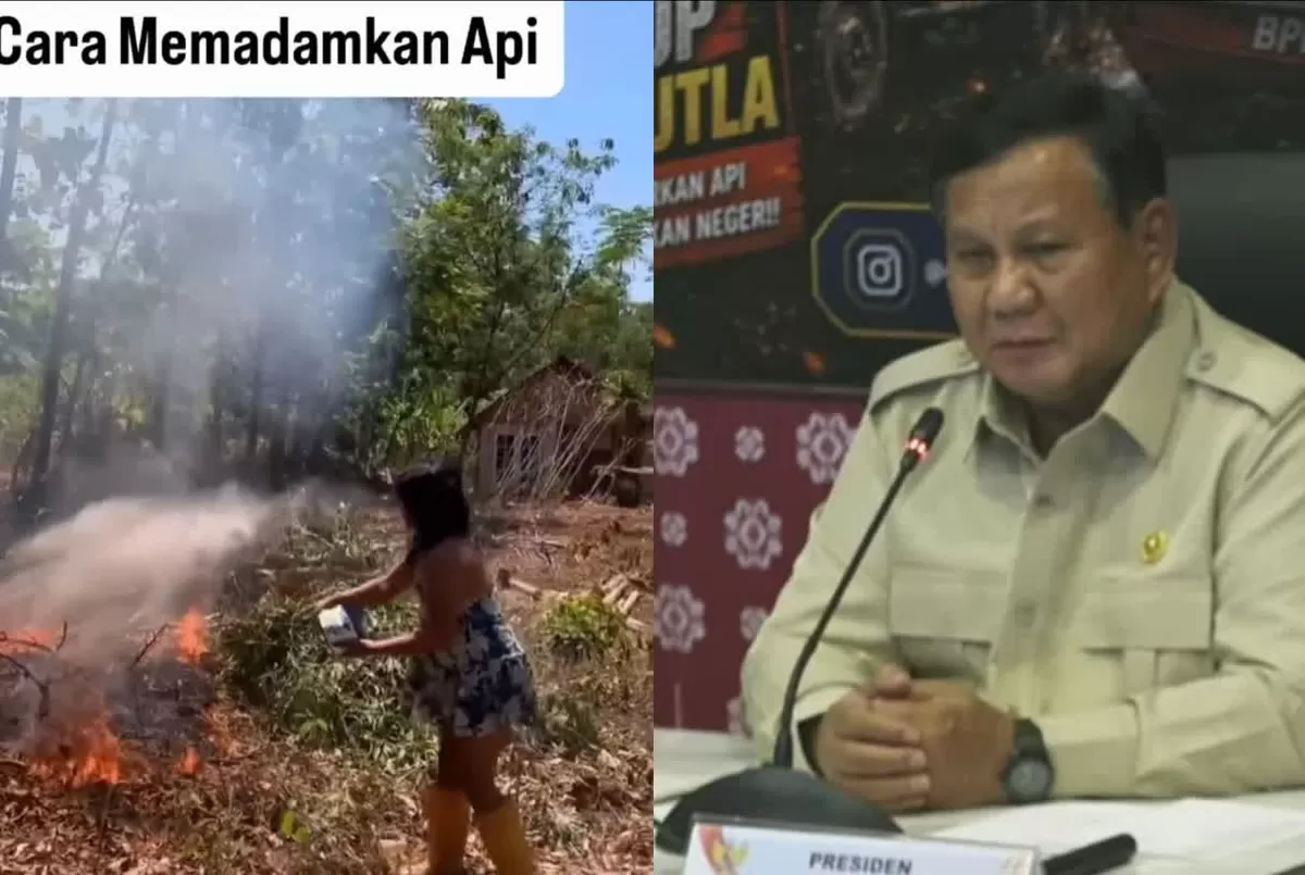 Presiden Prabowo Subianto memerintahkan uji coba tepung ubi pemadam karhutla buatan Babinsa Lubuklinggau di Palembang Sumatera Selatan.