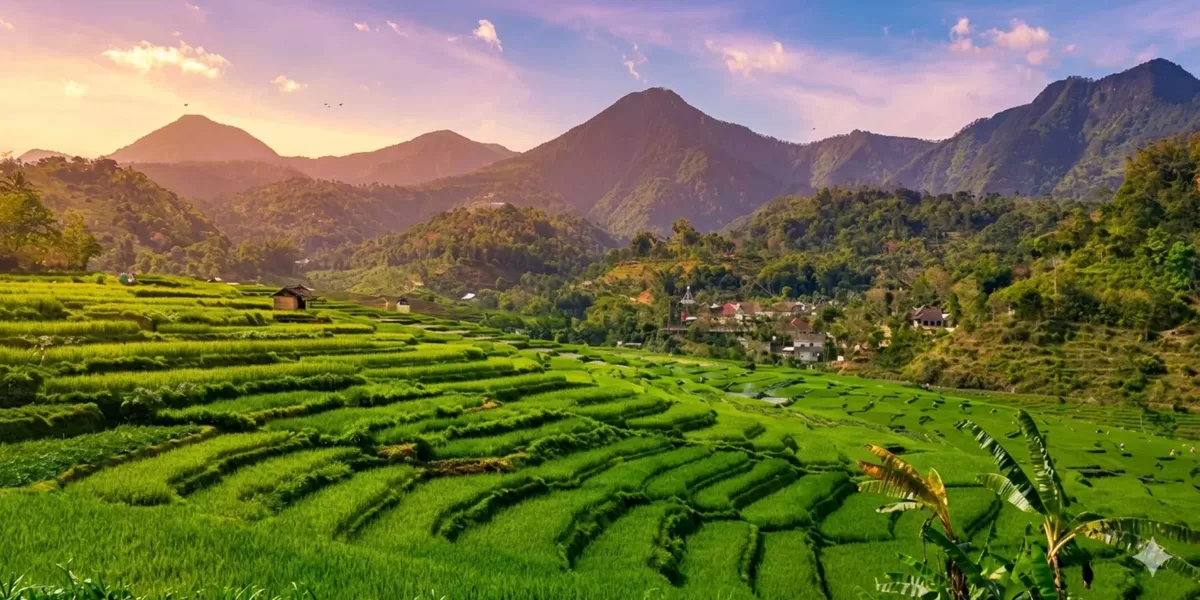 Desa Wisata Conto Wonogiri Jadi Pilihan Libur Sekolah, Belajar Alam dan ...