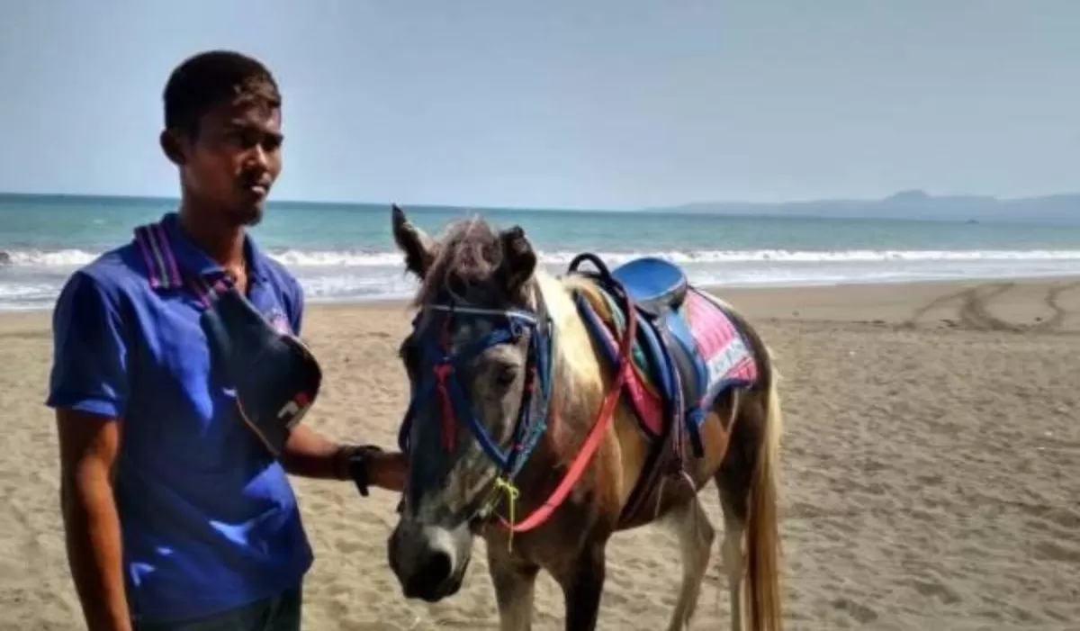 Salah satu tukang kuda di Pantai Citepus Palabuhanratu (Anugrah)
