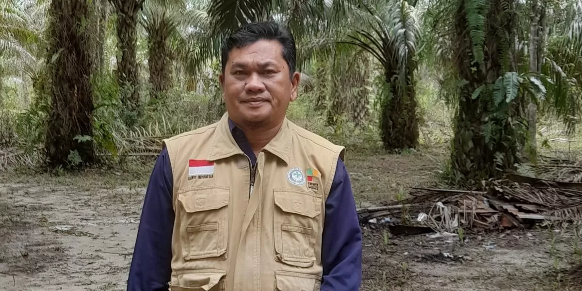 Mahdar, Ketua APKASINDO Belitung  (Ist)