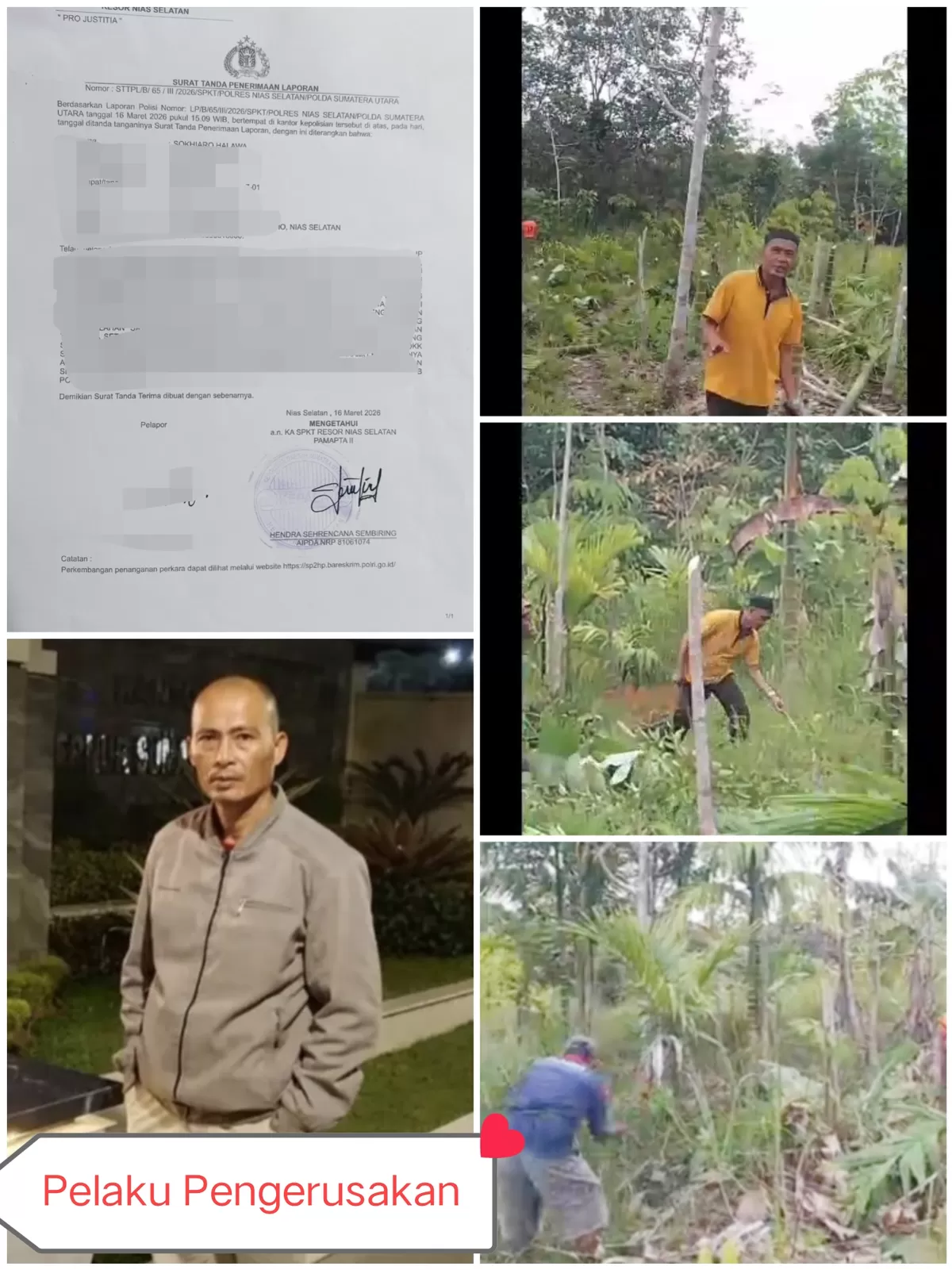 Foto LP Polres Nias Selatan dan Para pelaku pengerukan tanaman di lahan Warga Desa Agama Kecamatan agama Kabupaten Nias Selatan 