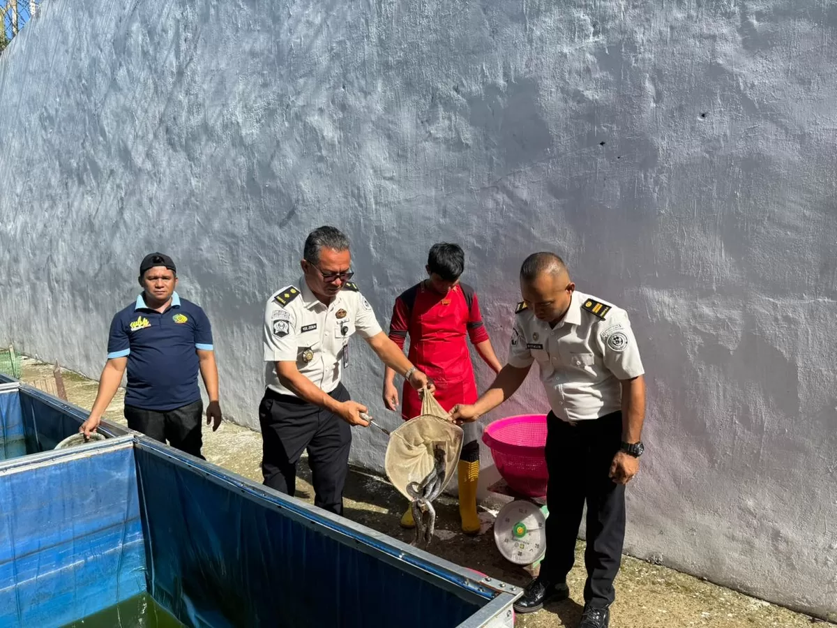 Jajaran Petugas Lapas Gunungsitoli Saat Panen Ikan Lele