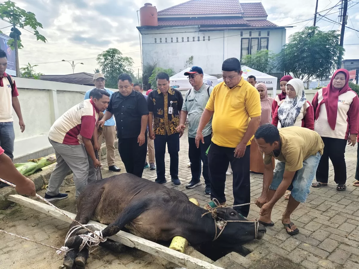   Foto Perkuat Kinerja BUMD, Bupati Anton Gelar Doa Bersama dan Aksi Sosial Untuk Dorong Peningkatan PAD Rokan Hulu  (RELEASE )