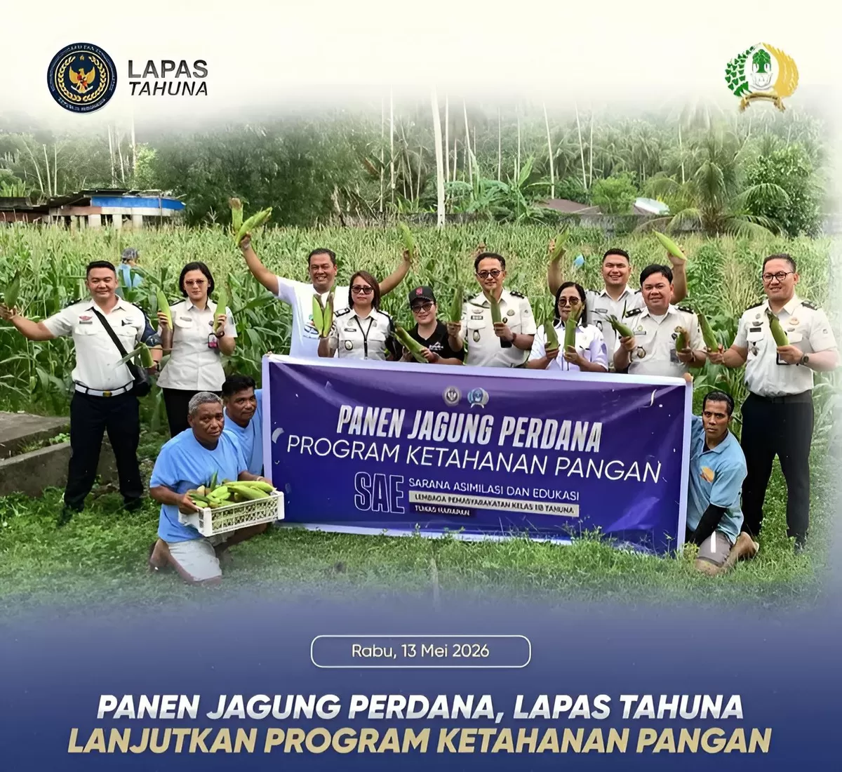 Petugas Lapas Tahuna Saat Panen Jagung di Lahan Pertanian SAE