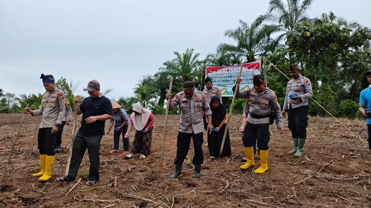 Foto: Kapolsek IPDA Sarlose Mesra, S.H, bersama jajarannya Polsek Samo, terus melaksanakan giat tanam jagung ketahanan pangan Program Nasional  (NAWACITAPOST.COM)