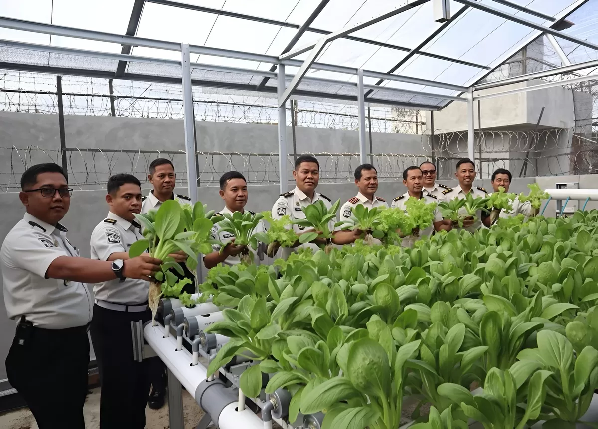 Kalapas Muara Teweh dan Jajaran Saat Panen Raya Pakcoy dan Selada Hidroponik