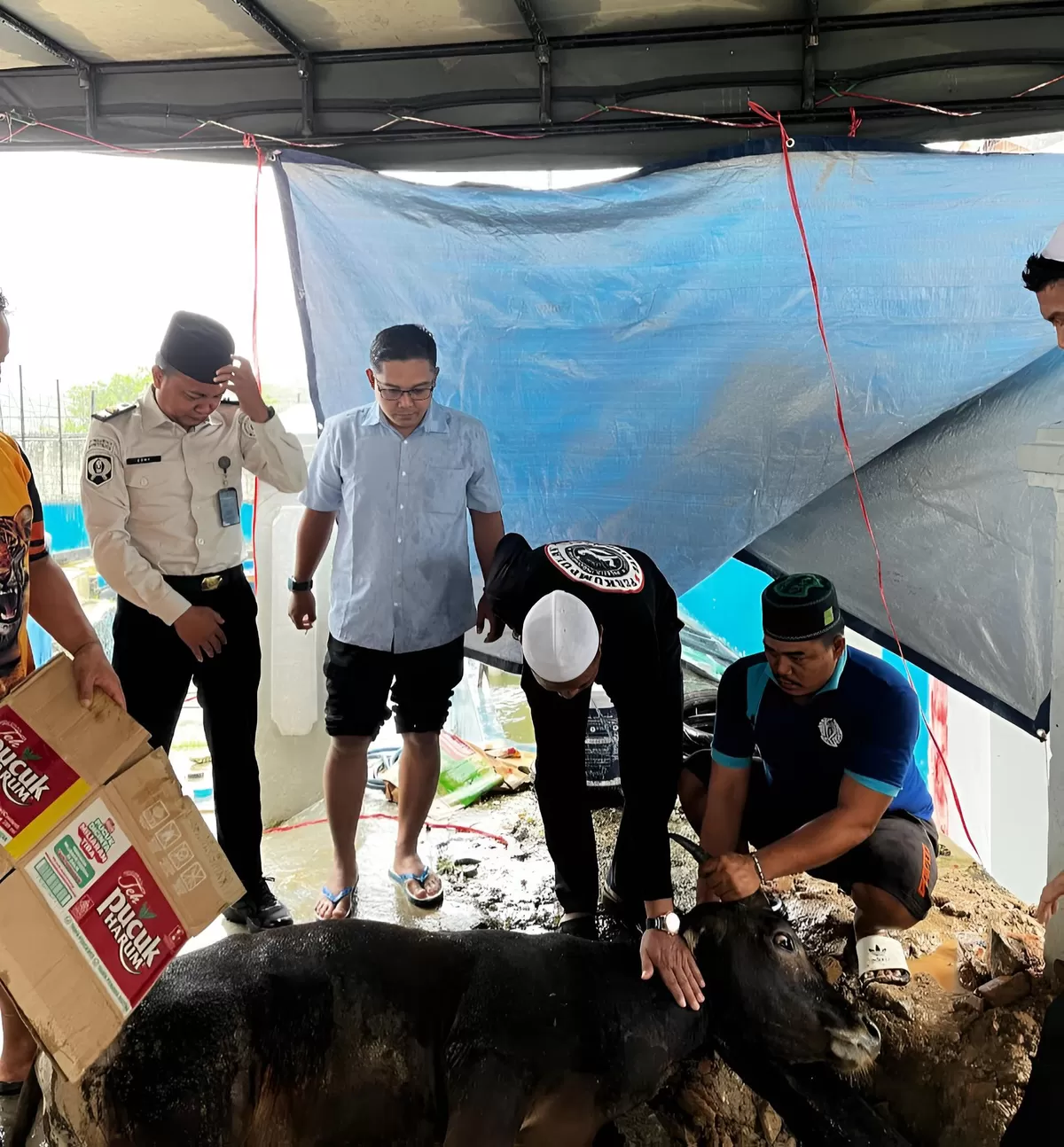 Kasi Adm Kamtib Lapas Muara Teweh dan Jajaran Serta WBP Saat Pemotongan Hewan Kurban