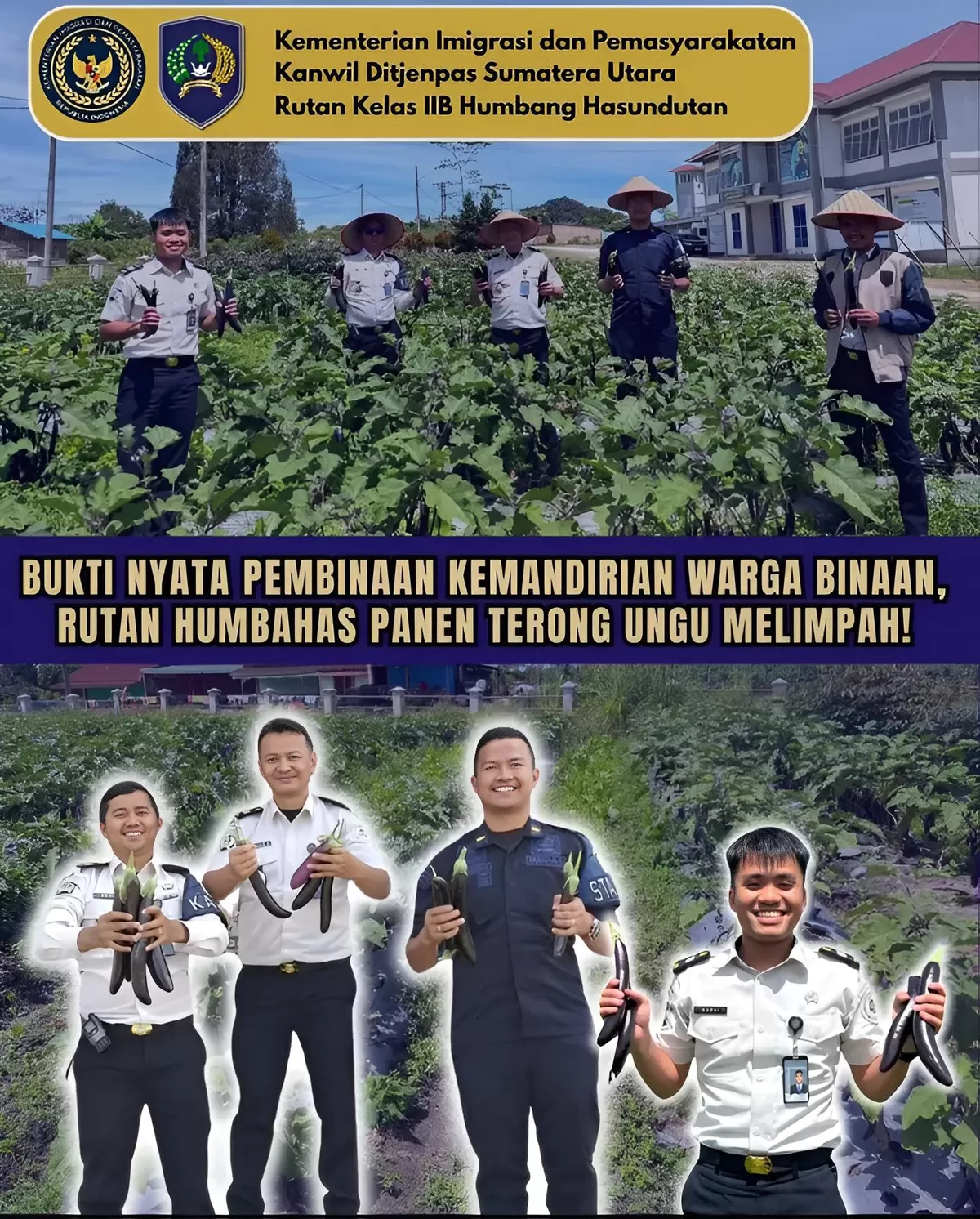 Petugas dan WBP Rutan Humbang Hasundutan Saat Panen Raya Terong Ungu