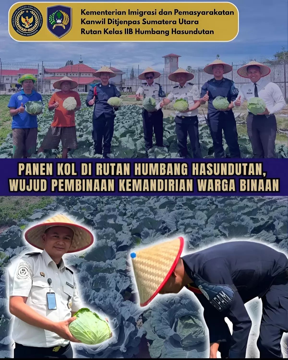 Petugas dan Warga Binaan Rutan Humbang Hasundutan Saat Panen Kol