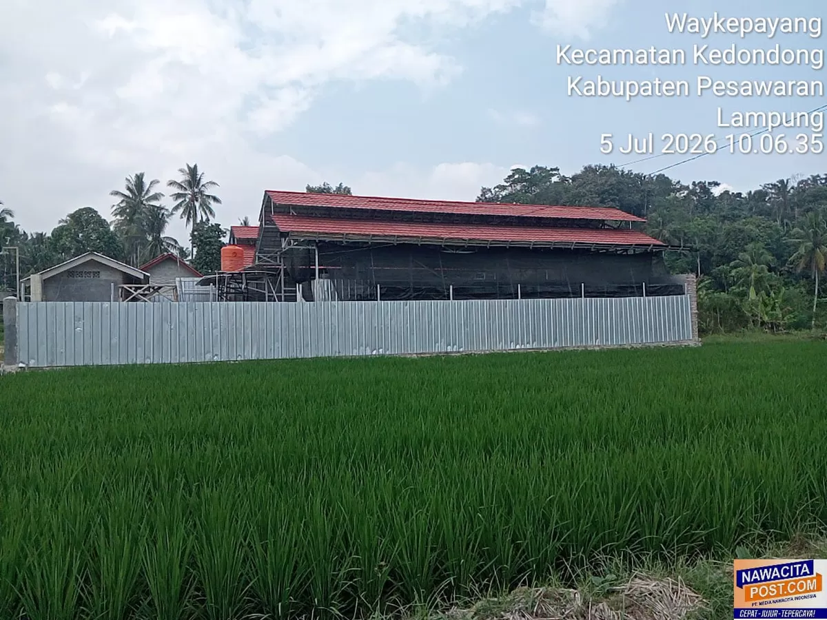 Kandang ayam petelur skala besar di tengah permukiman padat dan lembaga pendidikan agama Desa Kedondong, Kecamatan Kedondong, Kabupaten Pesawaran, Lampung  (AMRULLOH Nawacita )