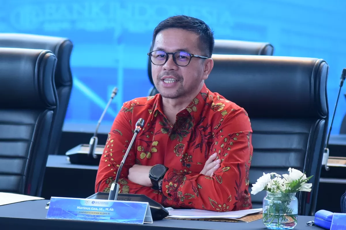 Marinus Gea anggota Komisi XIII DPR RI fraksi PDIP  (Istimewa)