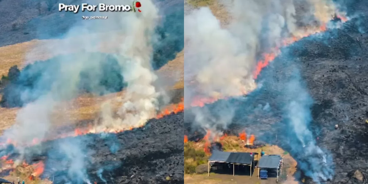 Menyoroti fakta terkini ihwal kebakaran hutan yang terjadi di kawasan TNBTS Gunung Bromo, Jawa Timur. (Instagram.com/@hamdaaa14_)
