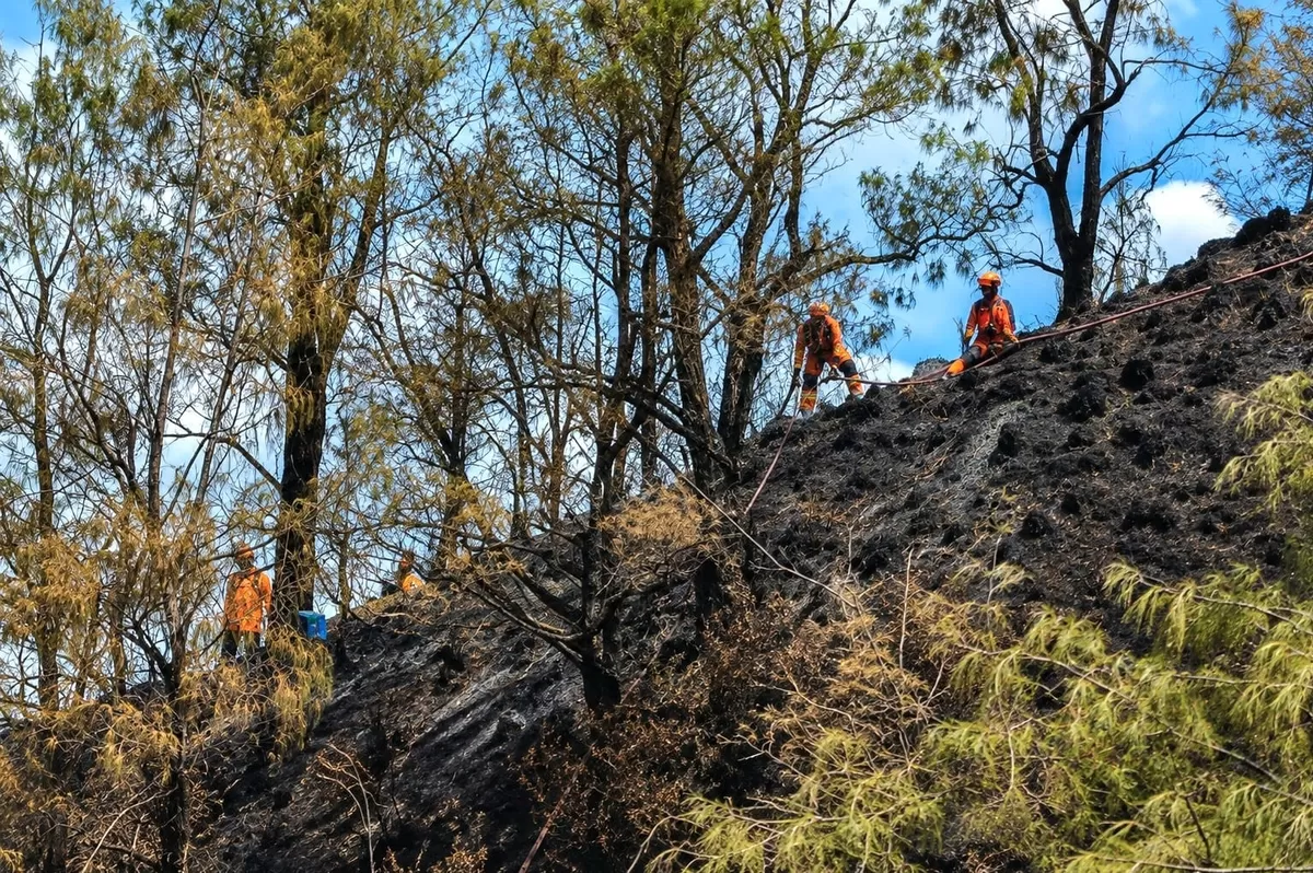 Caption foto: Polda Jatim memperketat patroli dan pemetaan wilayah rawan karhutla di Jawa Timur. Hutan, perkebunan hingga lahan pertanian menjadi sasaran pengawasan