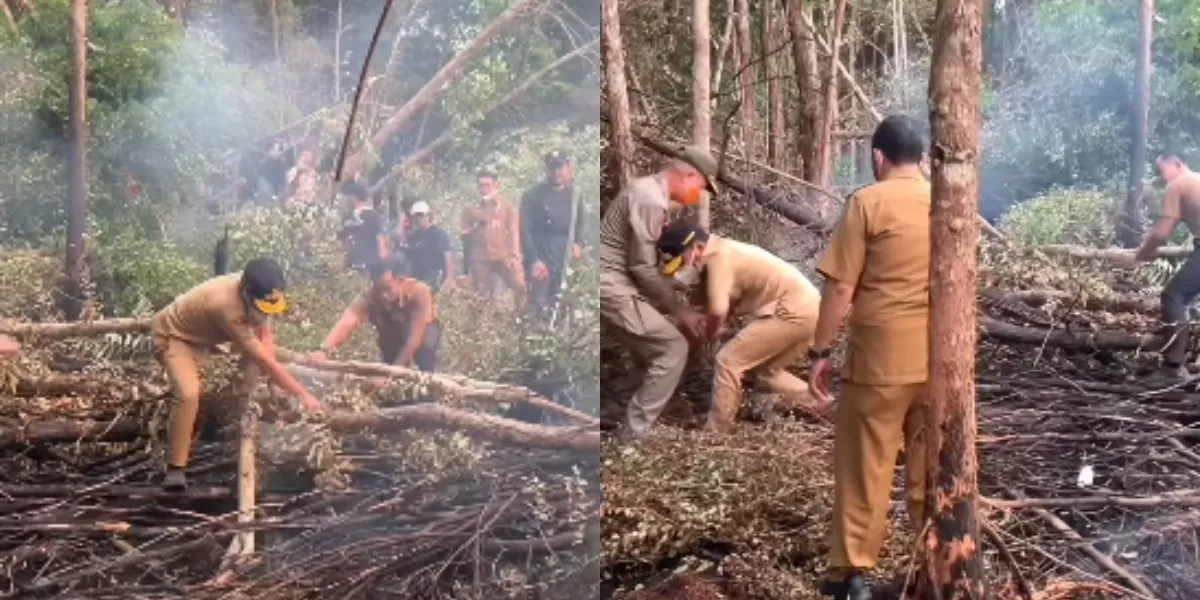 Menyoroti viralnya momen Gubernur Kalteng saat menyusuri titik lokasi Karhutla usai ramai dikritik soal penanganan bencana. (Instagram.com/@undercover.id)