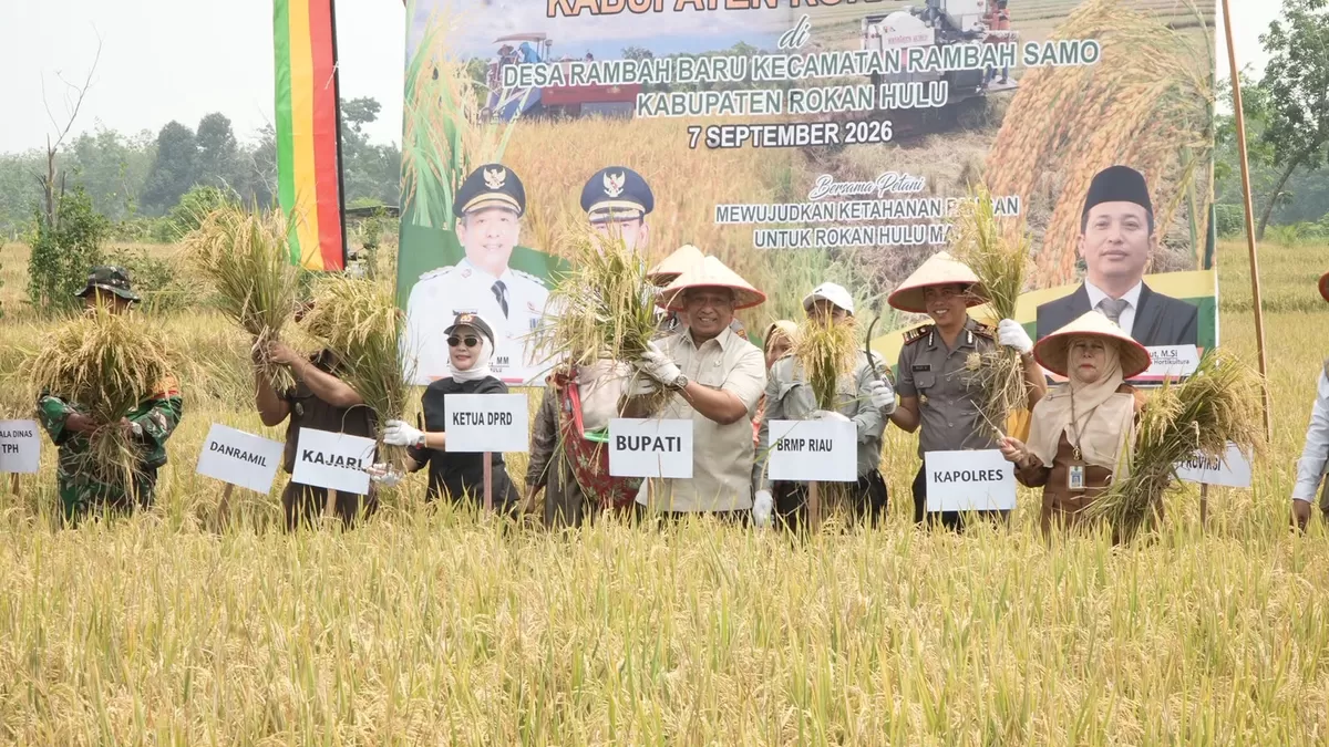 Foto Bupati Anton Bersama Forkopimda dan Petani Saat Panen Padi (Diskominfo Rohul )
