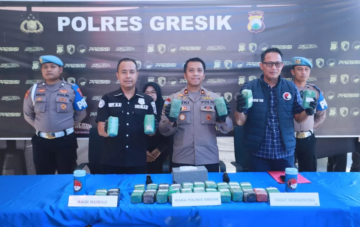 Satresnarkoba Polres Gresik menggagalkan pengiriman 10,858 kilogram ganja yang disamarkan di dalam sebuah sepeda motor Piaggio Vespa.