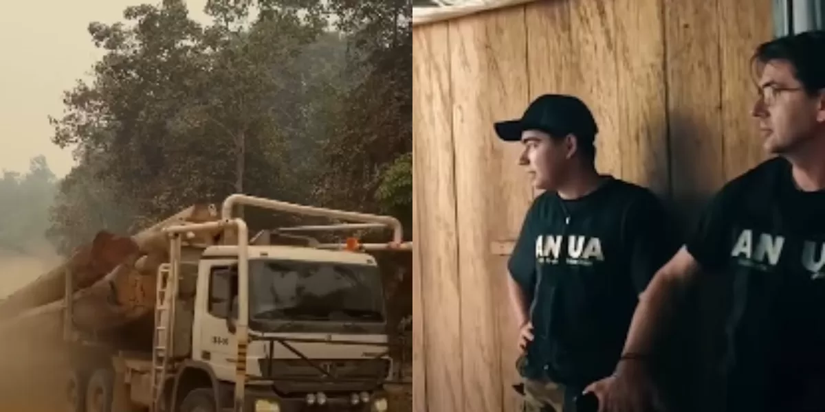 Menyoroti penuturan aktivis lingkungan, Andrew Kalaweit ihwal ironi karhutla di Kalimantan beriringan dengan dugaan pembalakan liar. (Instagram.com/@andrewkalaweit)